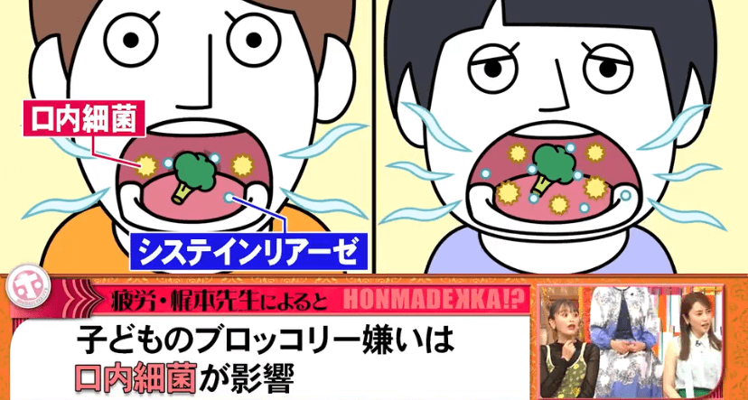 梶本さん「ブロッコリーを食べられない子が多いのは、口内細菌が関係している」
（出典：「ホンマでっか!?TV」より）
